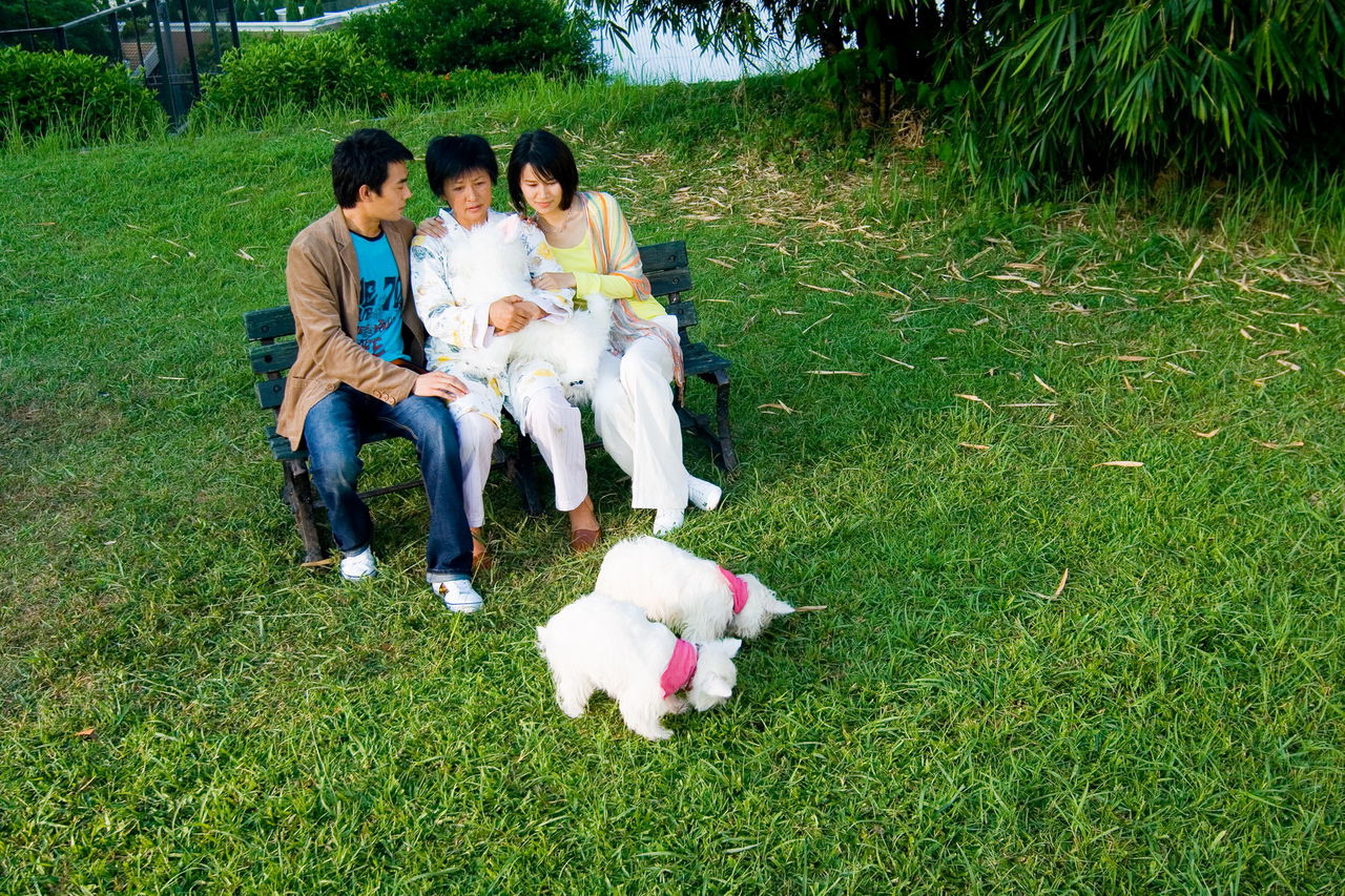 http://www.119127.cn/pics/default/download/d52c34519fe9e32f9b0fe50797968429.jpg