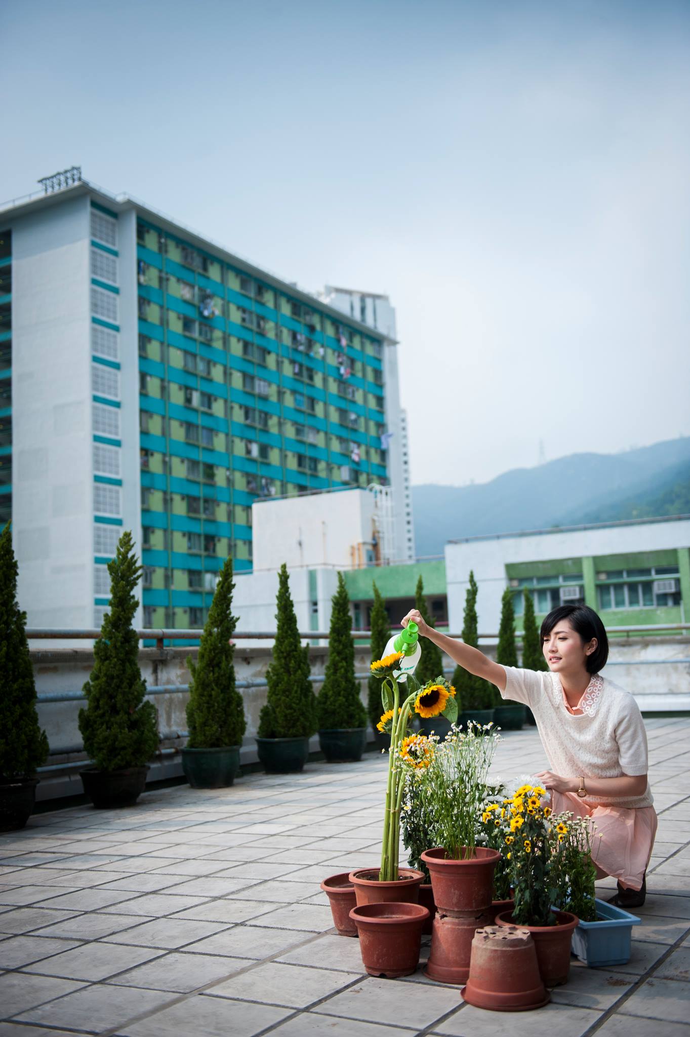 http://www.119127.cn/pics/default/download/d5ee626583a949721c6c0cd4a7b13f3b.jpg