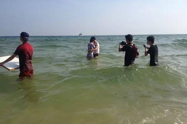 http://www.119127.cn/pics/default/download/d6561d85960df6ece87cad8925843b48.jpg
