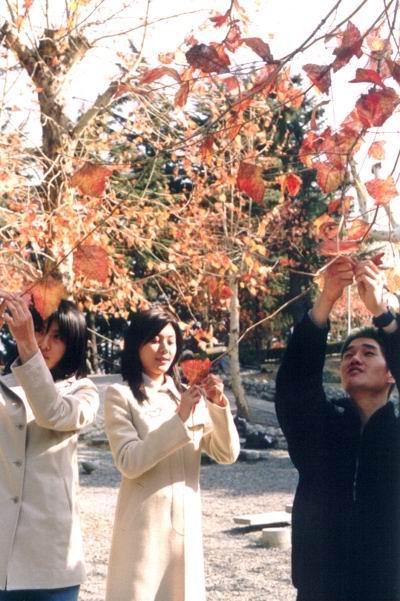 http://www.119127.cn/pics/default/download/d6cd814eae2df70511483170f17a1f33.jpg