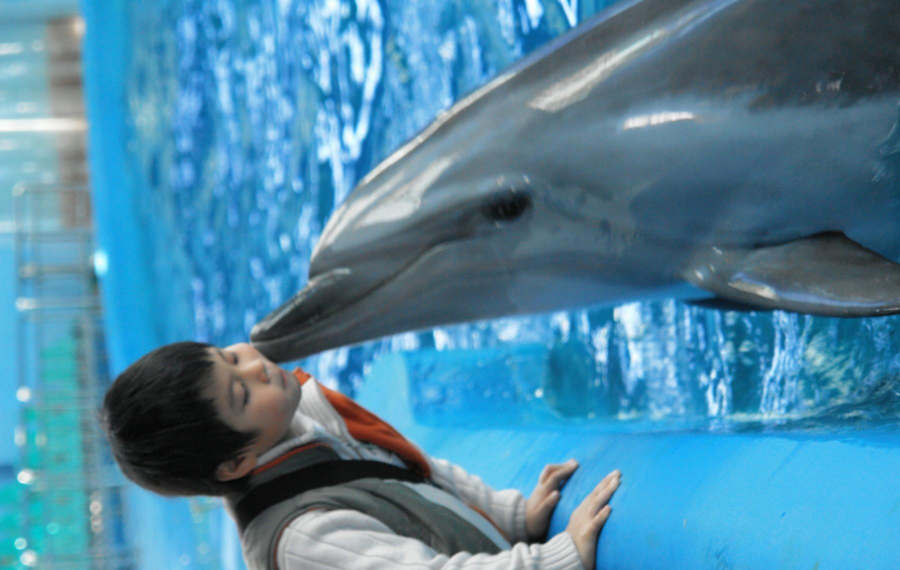 http://www.119127.cn/pics/default/download/d7b41e14239307b67e606a20be9c5f6d.jpg