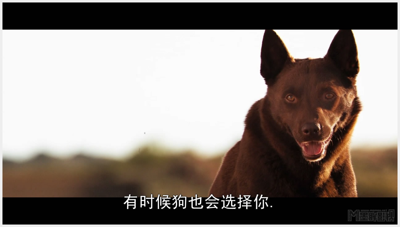 http://www.119127.cn/pics/default/download/d8f37a20bdd3269915d62cbc4e496932.jpg