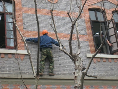 http://www.119127.cn/pics/default/download/d9428fd8074ff3324a5ed15eec463838.jpg