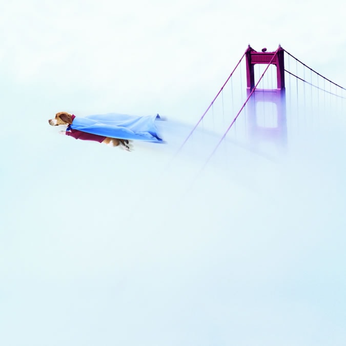 http://www.119127.cn/pics/default/download/da0697c4c8e74be791de439d5f9370f6.jpg