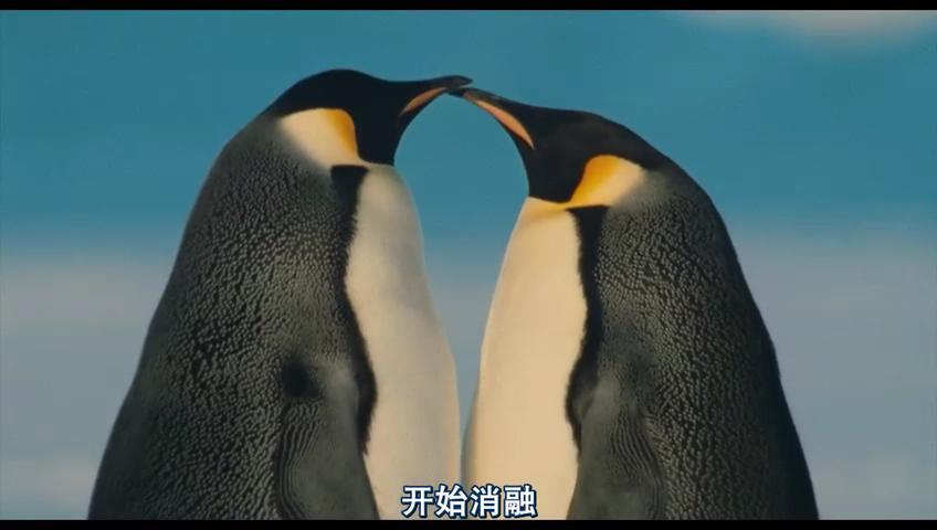 http://www.119127.cn/pics/default/download/da1af9bce0f4825e0cf3082c970b028c.jpg