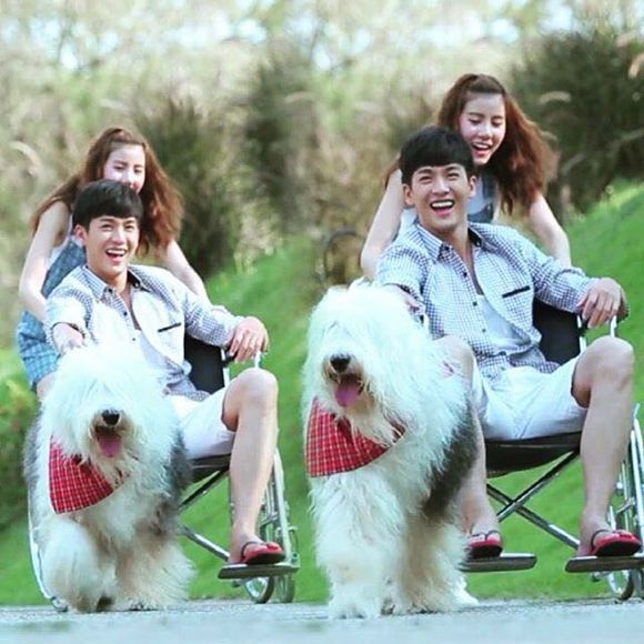 http://www.119127.cn/pics/default/download/db26d0ad305dcb0de601198e7ab860f7.jpg