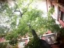 好大一個(gè)家-盧雨菲