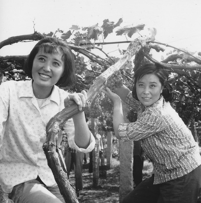 http://www.119127.cn/pics/default/download/dc0db9bc5edddf54d206bfcd2b29fcbf.jpg