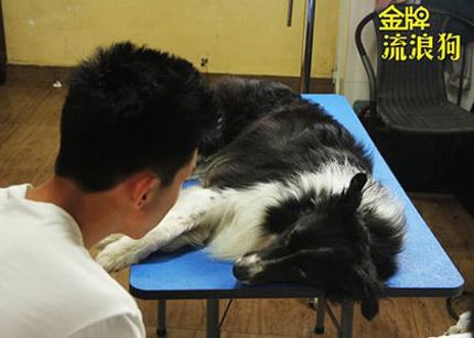 http://www.119127.cn/pics/default/download/dc472821505b8119ac9a2d1d4da1b8e5.jpg