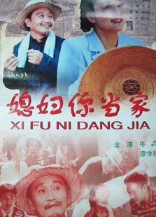 媳婦你當家