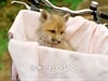 http://www.119127.cn/pics/default/download/ddf79c4a3a19a46359f85d647a938a6f.jpg
