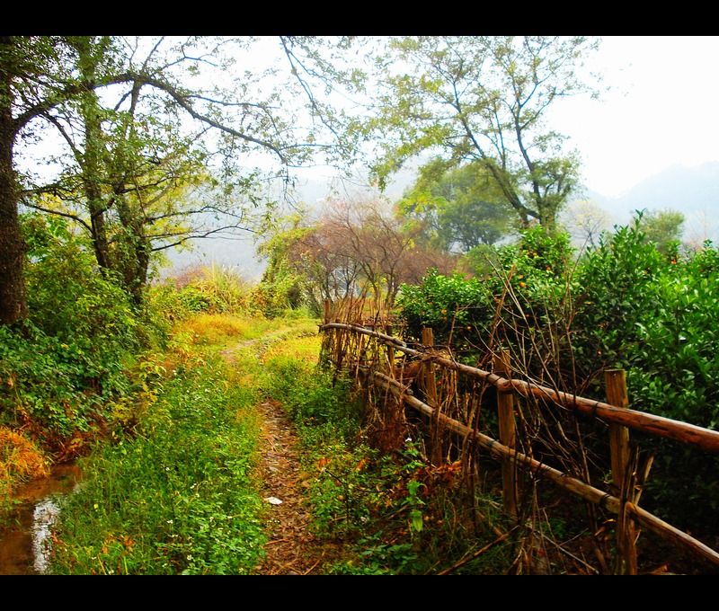 http://www.119127.cn/pics/default/download/df9a0a6c1e203db42bcd5eaabdff9a0a.jpg
