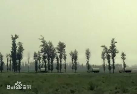 http://www.119127.cn/pics/default/download/e09178799a7446ad0a1a450bf70f8c21.jpg