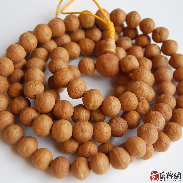 http://www.119127.cn/pics/default/download/e1ed0ad42ce7cd2ea0a473b305f230e6.jpg