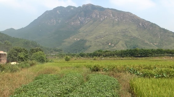 http://www.119127.cn/pics/default/download/e279499ee00048e71c23f8d74dac3889.jpg