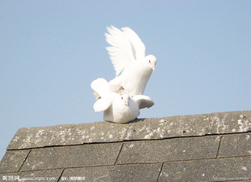 http://www.119127.cn/pics/default/download/e2a374c8fb48b4ca4a8018209c72cdd4.jpg
