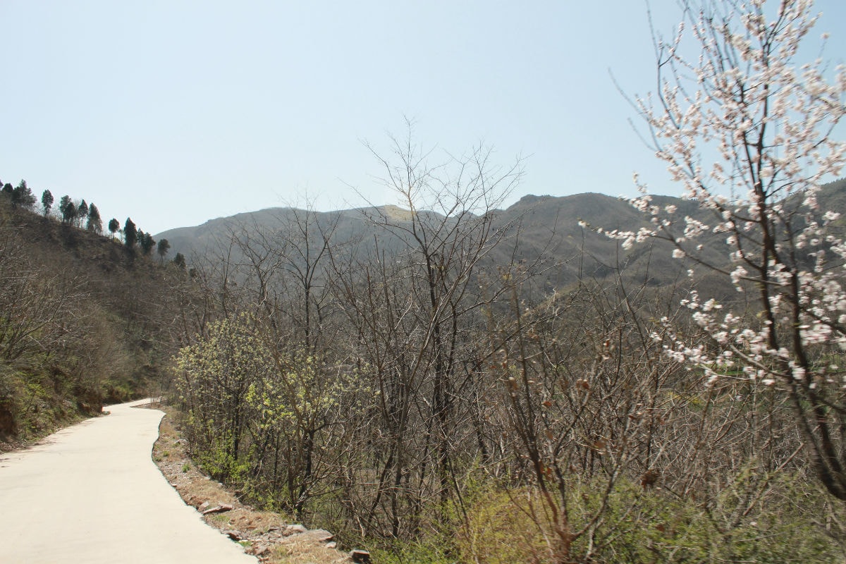 http://www.119127.cn/pics/default/download/e2e0892ab7b73fa91356db6e10d2d0ed.jpg