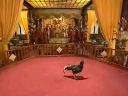 http://www.119127.cn/pics/default/download/e33d5ed5cb05febfe994f10d72ea6d00.jpg
