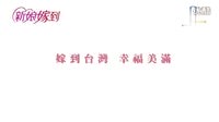 16.薌劇-歌仔戲-民視最新10（十）點(diǎn)大戲新娘嫁到-一場(chǎng)車禍，家庭驟變