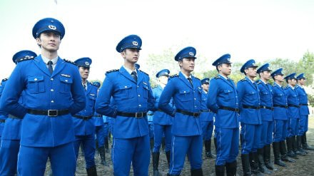 http://www.119127.cn/pics/default/download/e48072afc8752d96eac98680c5df68bf.jpg