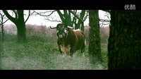 烏龍兵團(tuán)搞笑演諜戰(zhàn)《老爸上戰(zhàn)場(chǎng)》首款預(yù)告