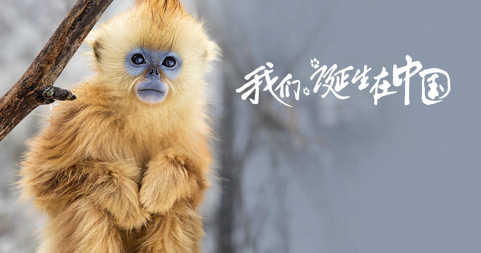 http://www.119127.cn/pics/default/download/e72a26d3676c55e55a4b02e4ffa3955b.jpg