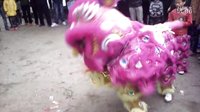 雷州市楊家鎮(zhèn)店前村醒獅隊(duì)