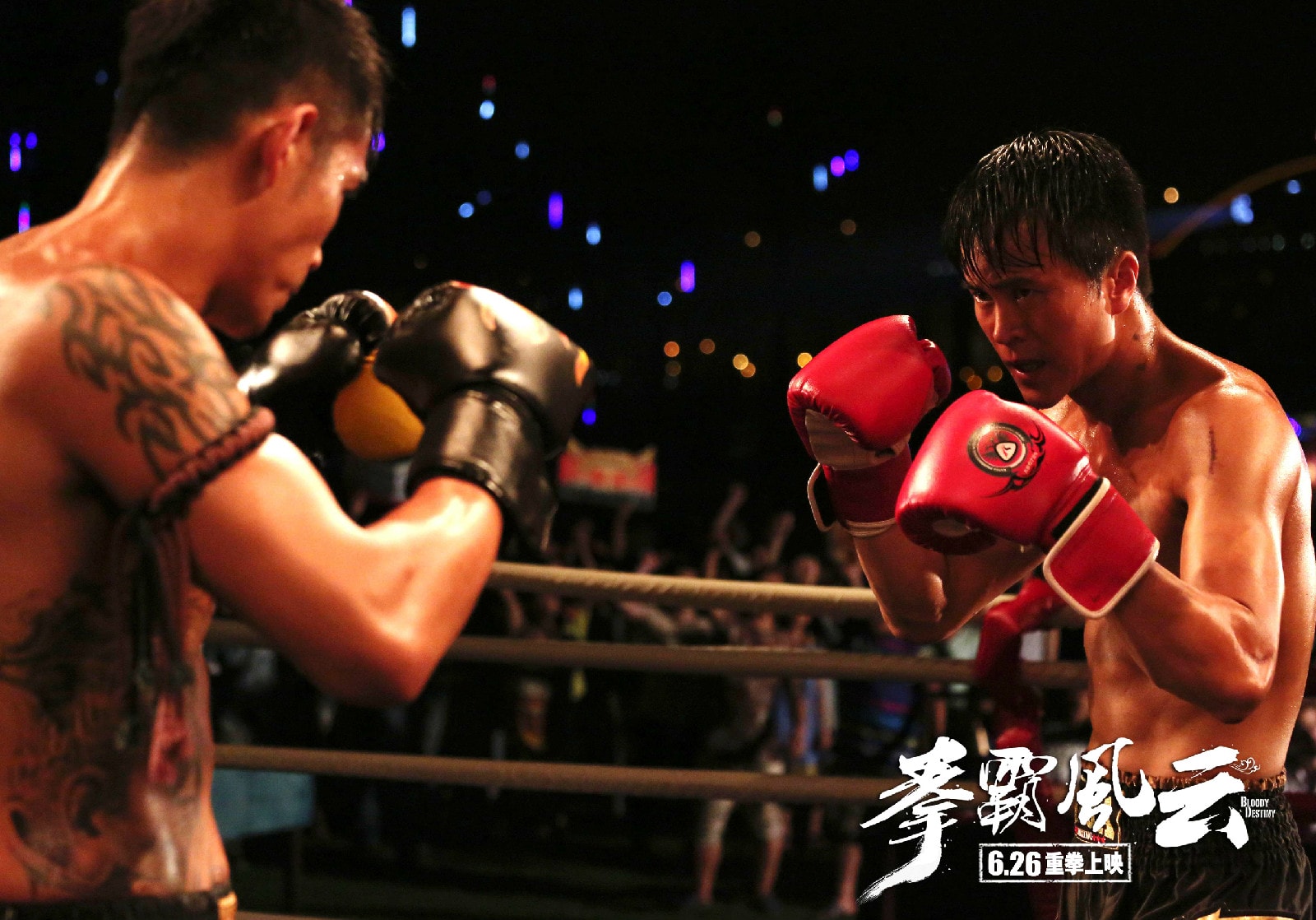 http://www.119127.cn/pics/default/download/e8b31150b73ff4aa790a9c64d85bfcd7.jpg