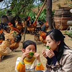 http://www.119127.cn/pics/default/download/e9c4edab99621160a165a9ee8d6e7f26.jpg