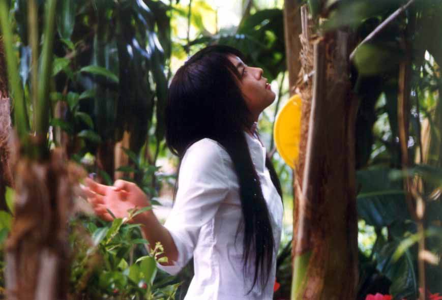 http://www.119127.cn/pics/default/download/ea06cd4fcf54ed02f03dfe92952d2956.jpg