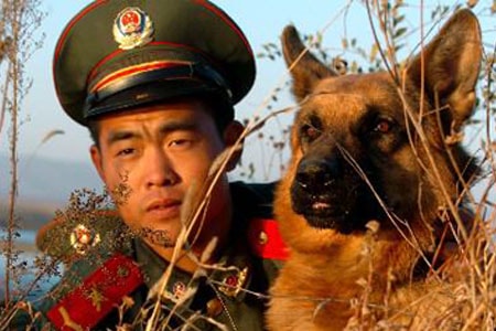 http://www.119127.cn/pics/default/download/ec7739d4a33a88d813f3425ab91516fb.jpg