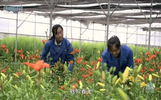 http://www.119127.cn/pics/default/download/ed0a81ba1ef8f5942f60e05dcf3c8778.jpg