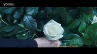 《饑餓游戲3:嘲笑鳥(niǎo)(下)》“Spectacle”電視宣傳片