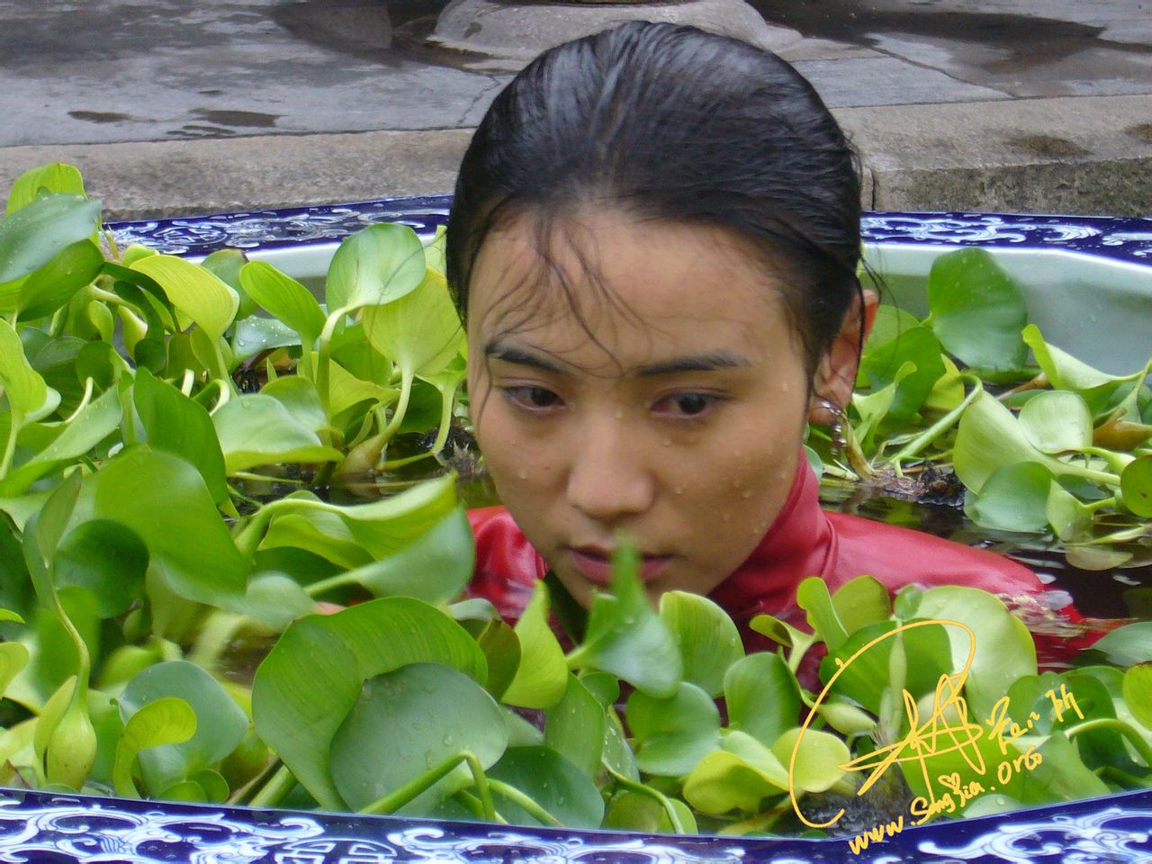 http://www.119127.cn/pics/default/download/eed05472b3c680182543abb3dd08adb0.jpg