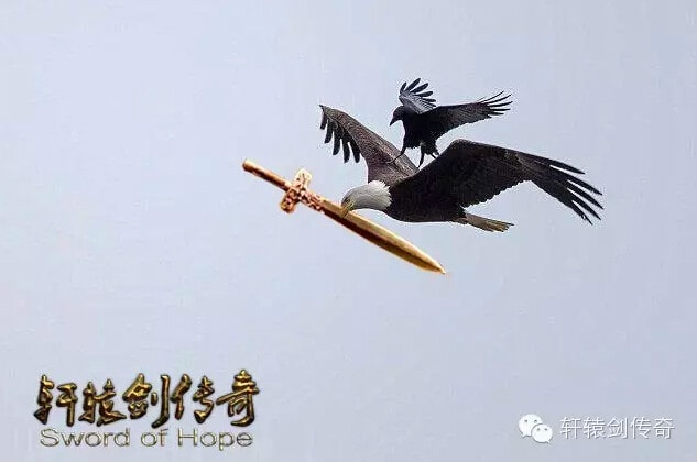 http://www.119127.cn/pics/default/download/ef131428a2b21bbe4edf7bd8a415401e.jpg