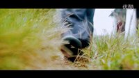夕陽(yáng)下的剃頭匠預(yù)告片.mp4