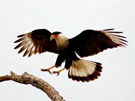 http://www.119127.cn/pics/default/download/efa92fe5de6e5b6902d534b3fad97b8f.jpg