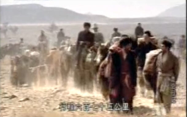 http://www.119127.cn/pics/default/download/f03de486341693b698c19a02f304e793.jpg