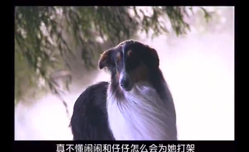 http://www.119127.cn/pics/default/download/f084fac1fd9557e400011cdc42205477.jpg