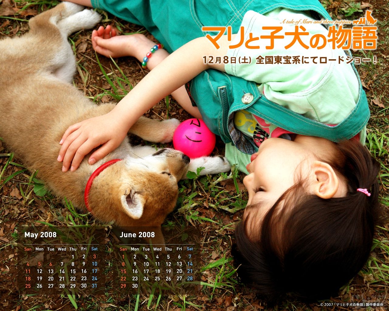 http://www.119127.cn/pics/default/download/f18bcddf680cae6594ee3dd62aa4da47.jpg
