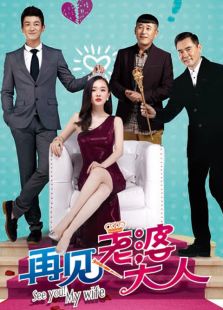 再見，老婆大人