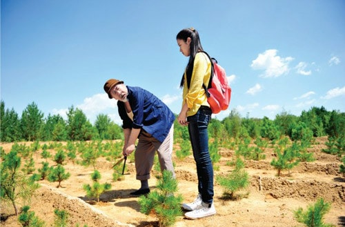 http://www.119127.cn/pics/default/download/f2cf/c065a4db7d305859acc13fdbb392.jpg