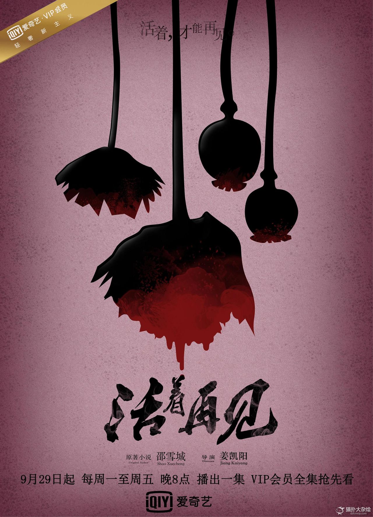 http://www.119127.cn/pics/default/download/f37973a3a02c88c9ce78b08ff5429b2c.jpg