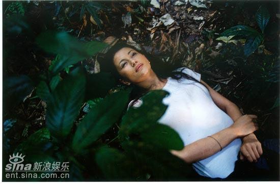 http://www.119127.cn/pics/default/download/f41eb06ba2fc90cc3a47e115d3d6e36c.jpg