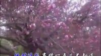廖昌永唱前蘇聯(lián)歌曲《紅莓花兒開(kāi)》，深情婉轉(zhuǎn)，令人回味