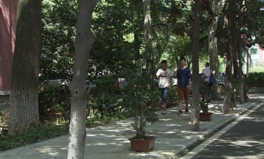 http://www.119127.cn/pics/default/download/f502d6a36d03653e111cab6668379c9c.jpg