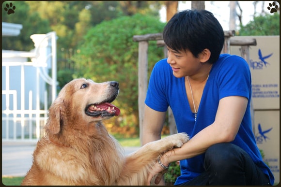 http://www.119127.cn/pics/default/download/f54e1aa5756807464f5bc0d731baf82b.jpg
