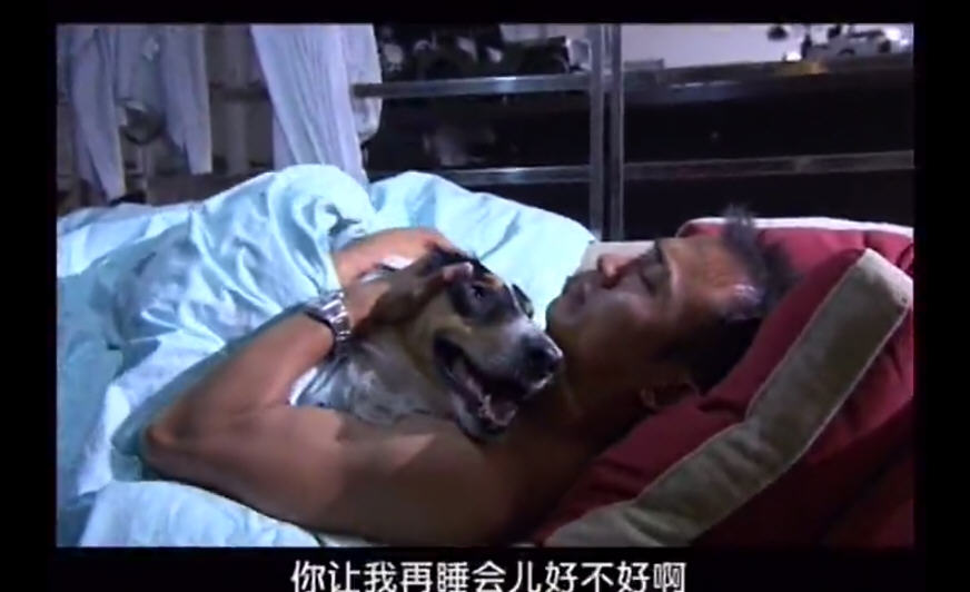 http://www.119127.cn/pics/default/download/f67c9ec8edf87556ab94234df48a0e2c.jpg
