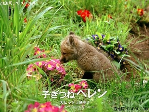 http://www.119127.cn/pics/default/download/f8272d1474f2c9d7048f723c6f9d8e6f.jpg