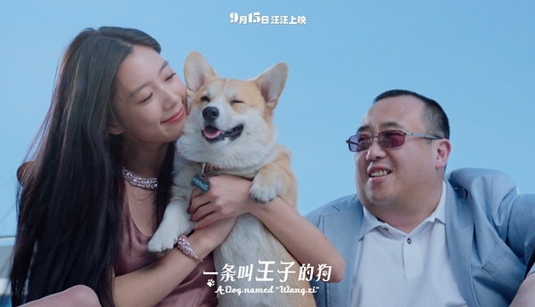 http://www.119127.cn/pics/default/download/f8854c1baeec61191c66b589d6008134.jpg